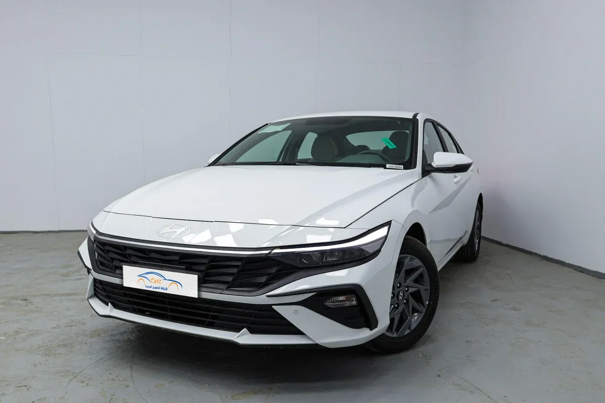 Hyundai Elantra Fleet