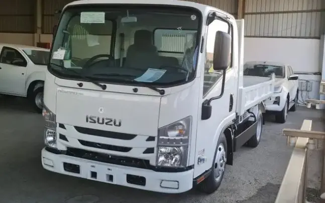ايسوزو-دينا-3-طن-white